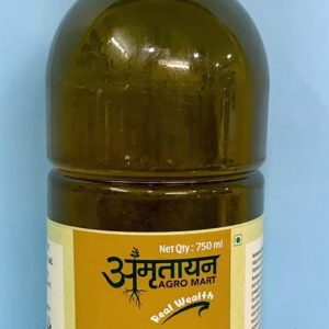 Haldighati Paan Sharbat 750 ml